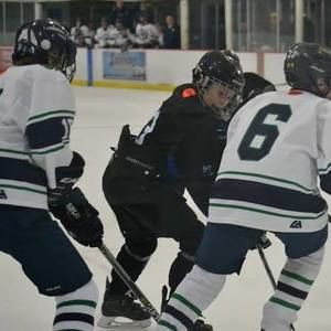 Meet your Posher, Gavin